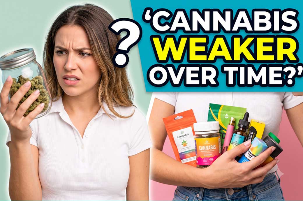 The Hidden Reason Your Cannabis Doesn't Feel as Strong Anymore